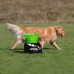 GoDogGo ® G4 Fetch Machine