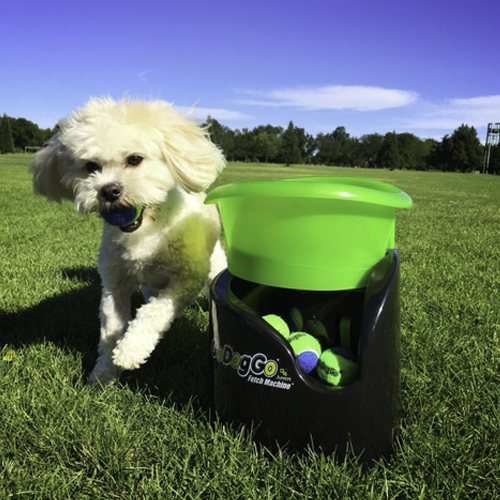 go dog go ball launcher